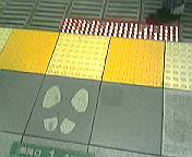platform.jpg